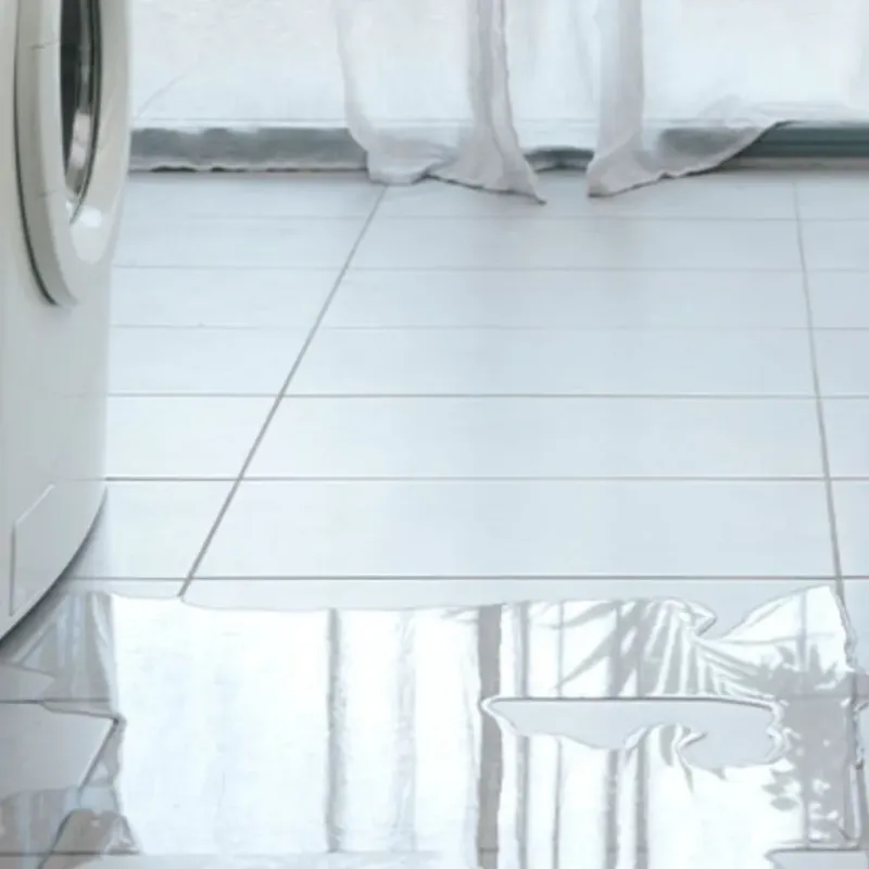 Appliance Leak Cleanup in Prices Fork, VA