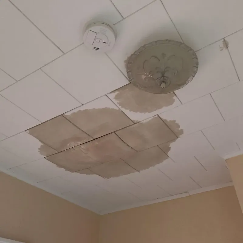 Ceiling Water Damage Repair in Prices Fork, VA