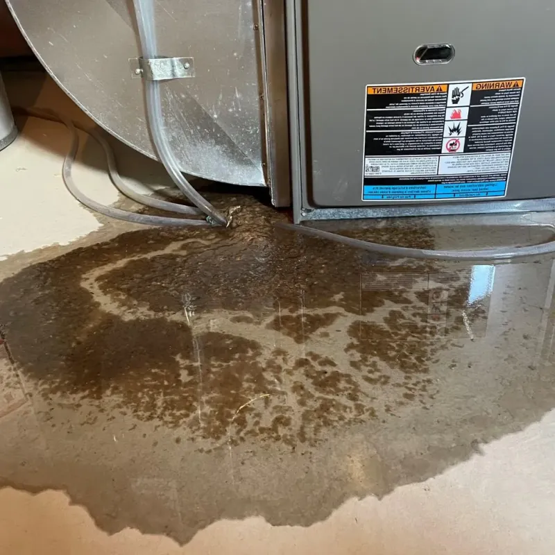 Pipe Burst and Leak Restoration in Prices Fork, VA
